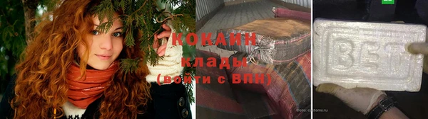 мдпв Новозыбков