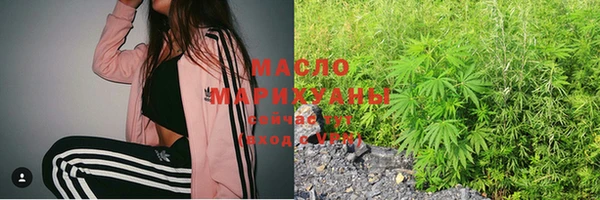 мдпв Новозыбков