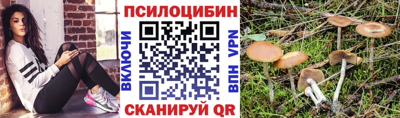 Псилоцибиновые грибы ЛСД  наркошоп  Красный Сулин 